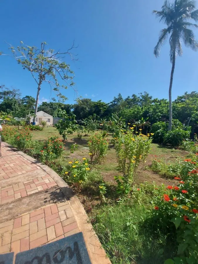 Blue Lizard House Villa San Andres  Lodge San Andres (San Andres and Providencia Islands)