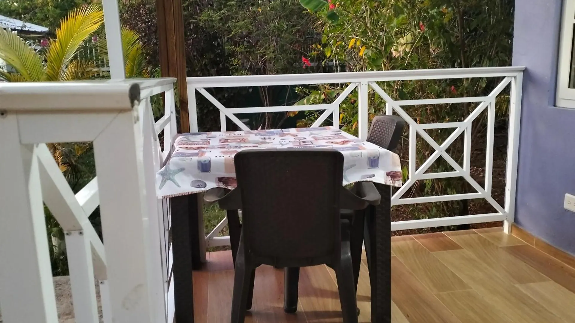 Blue Lizard House Villa San Andres  Colombia