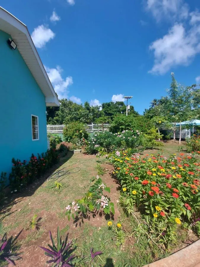 Villa Blue Lizard House à San Andrés