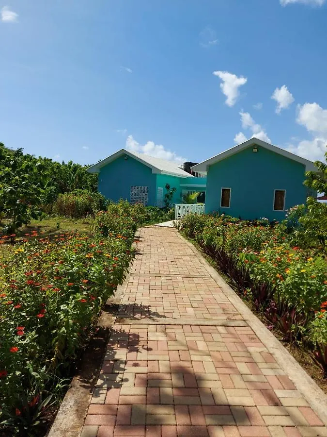 Lodge Villa Blue Lizard House à San Andrés Colombie