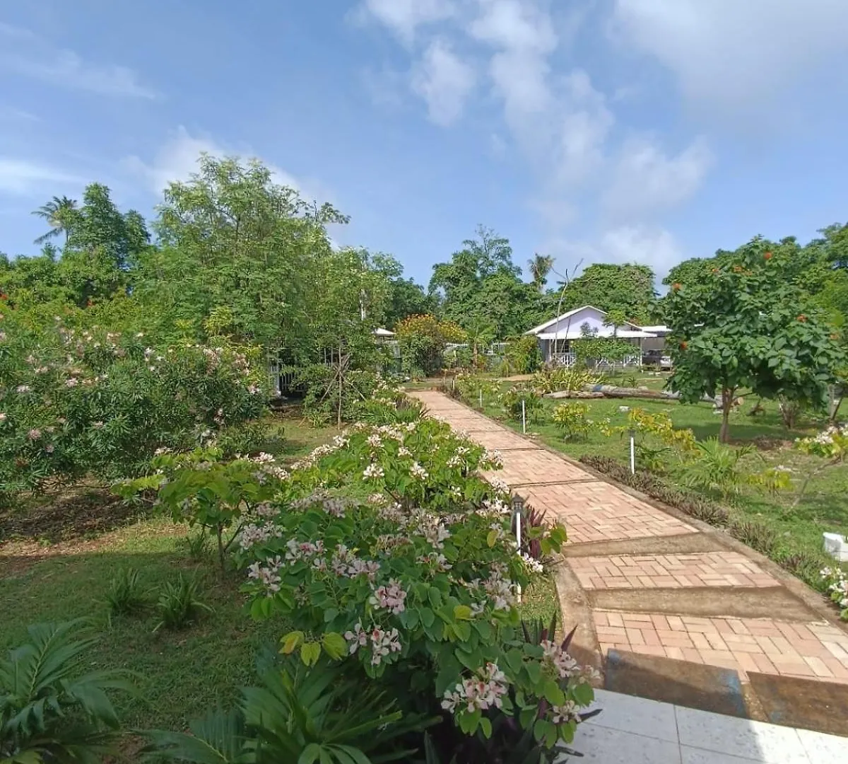 Blue Lizard House Villa San Andres