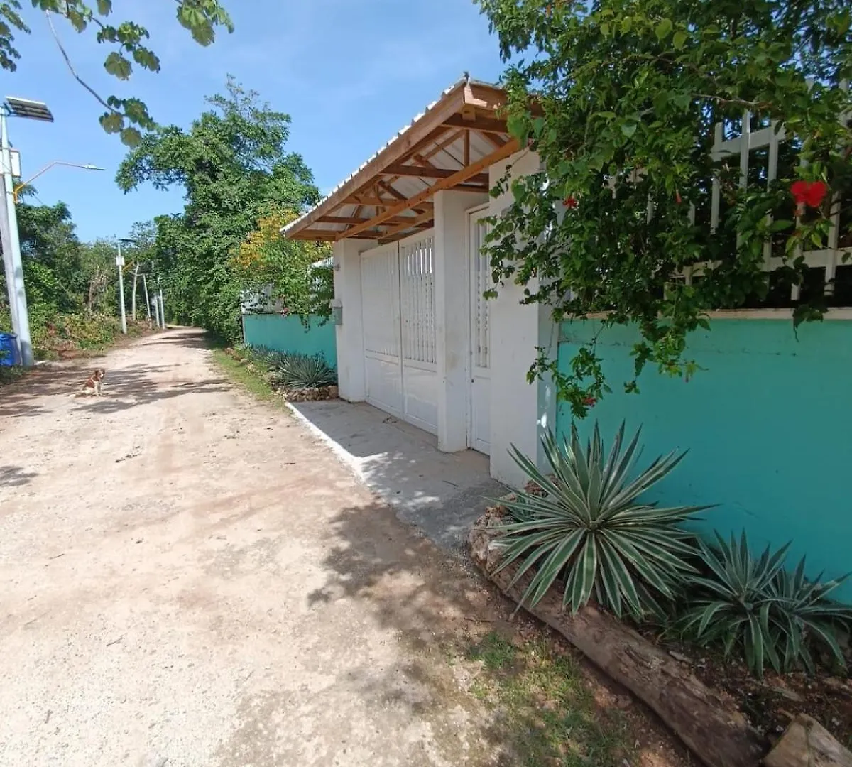 Blue Lizard House Villa San Andres  Colombia