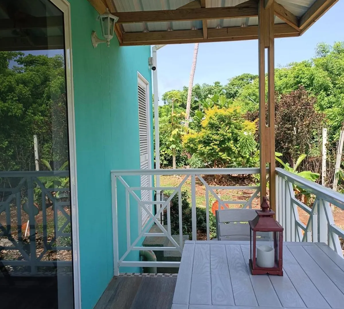 Lodge Blue Lizard House Villa San Andres  Colombia