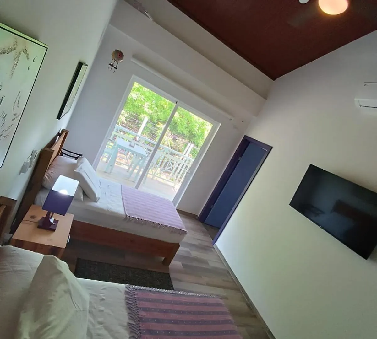 Blue Lizard House Villa San Andres  0*, San Andres (San Andres and Providencia Islands)