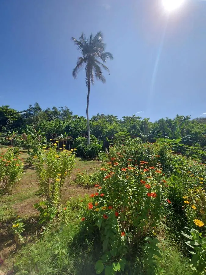 Lodge Blue Lizard House Villa San Andres