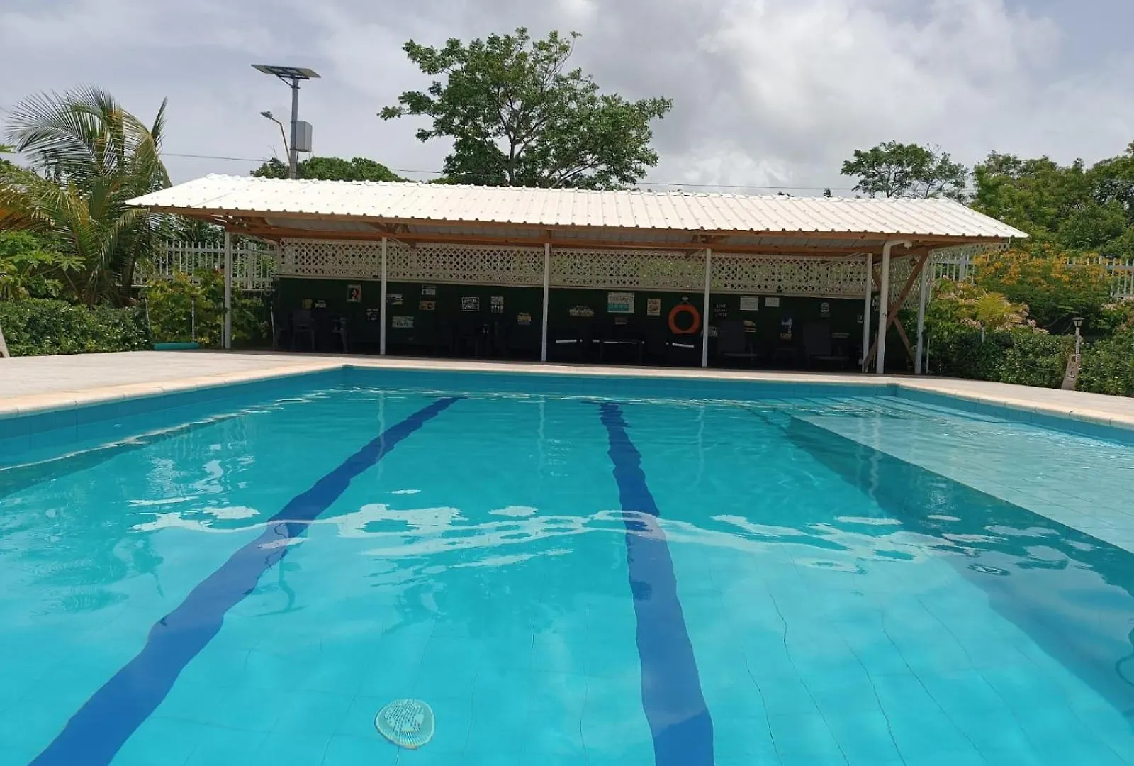 Blue Lizard House Villa San Andres  Colombia