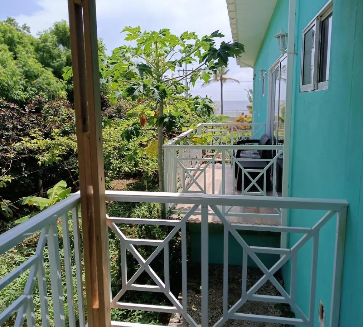 Blue Lizard House Villa San Andres  San Andres (San Andres and Providencia Islands)