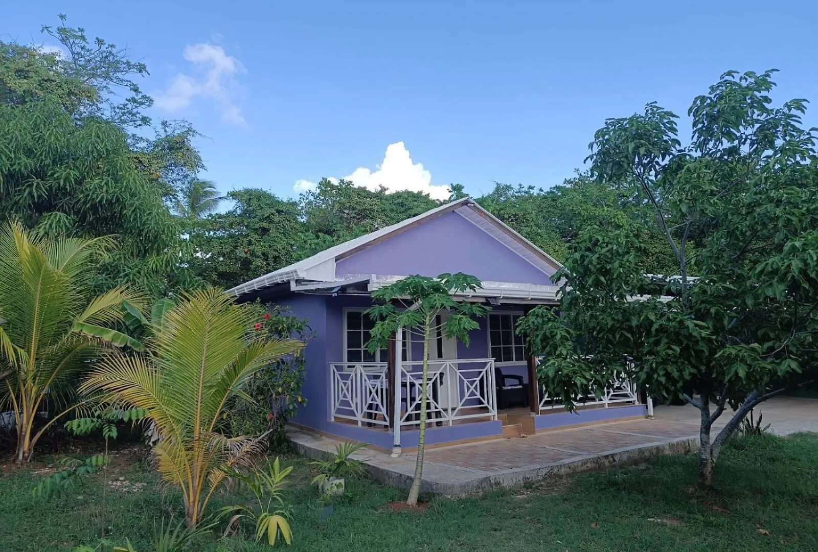 Blue Lizard House Villa San Andres